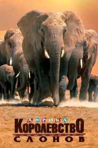 Африка - королевство слонов (1998)